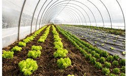 خودرو و حمل و نقل