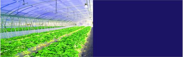 Applications of Products